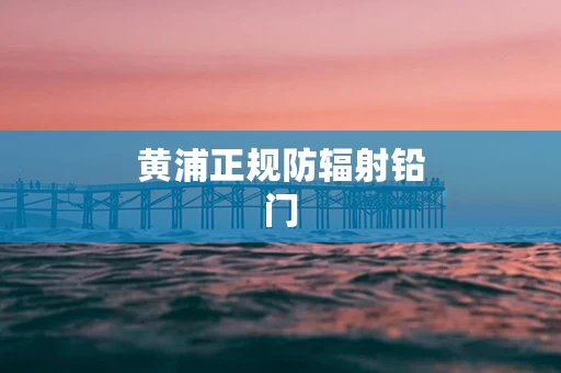 黄浦正规防辐射铅门