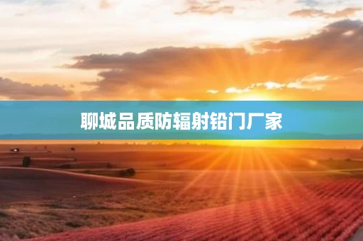 聊城品质防辐射铅门厂家