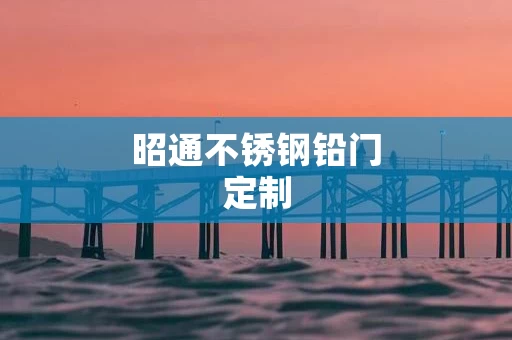 昭通不锈钢铅门定制