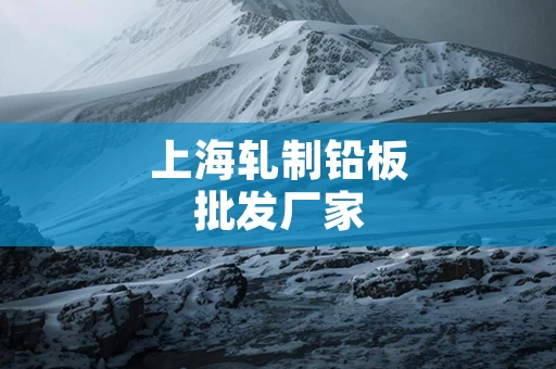 上海轧制铅板批发厂家