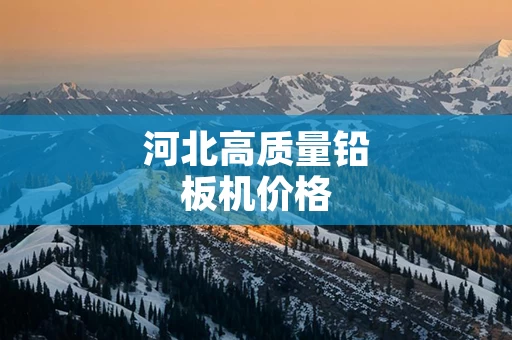 河北高质量铅板机价格